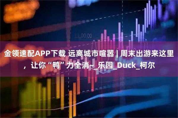 金领速配APP下载 远离城市喧嚣 | 周末出游来这里，让你“鸭”力全消~_乐园_Duck_柯尔