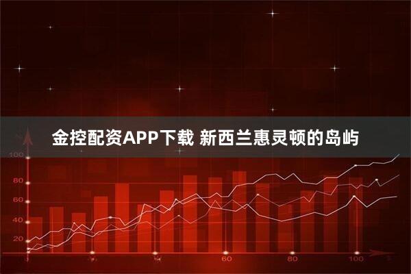 金控配资APP下载 新西兰惠灵顿的岛屿