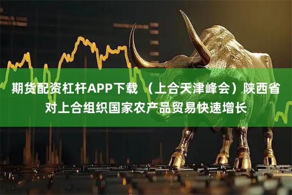 期货配资杠杆APP下载 （上合天津峰会）陕西省对上合组织国家农产品贸易快速增长