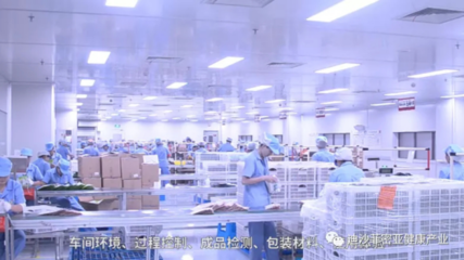 迪沙菲密亚帮您打造自己的品牌!药厂源头代工、网红代餐贴牌首选迪沙