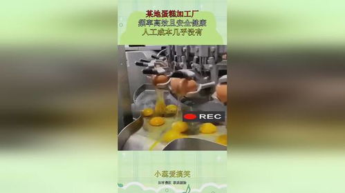 未来食品加工的革命 某地蛋糕加工厂的效率与健康之道